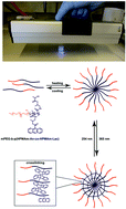 Graphical abstract: Anthracene functionalized thermosensitive and UV-crosslinkable polymeric micelles