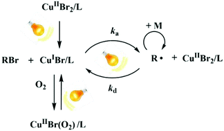 Graphical abstract: Ligand effect and oxygen tolerance studies in photochemically induced copper mediated reversible deactivation radical polymerization of methyl methacrylate in dimethyl sulfoxide