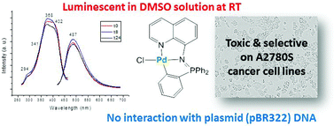 Graphical abstract: Luminescent iminophosphorane gold, palladium and platinum complexes as potential anticancer agents