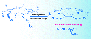 Graphical abstract: On the flexibility of carboranylalkylthio substituents in porphyrazines and its relevance to the photophysical properties