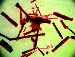 Graphical abstract: Explosive Werner-type cobalt(iii) complexes