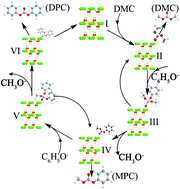 Graphical abstract: Transesterification of dimethyl carbonate with phenol to diphenyl carbonate over hexagonal Mg(OH)2 nanoflakes