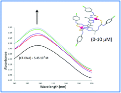 Graphical abstract: A structural and biological study on the new 3,5-diacetyl-1,2,4-triazol bis(p-chlorophenylthiosemicarbazone) ligand and its bimetallic complexes