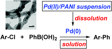 Graphical abstract: A mechanistic study of cross-coupling reactions catalyzed by palladium nanoparticles supported on polyaniline nanofibers