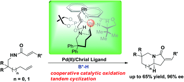 Graphical abstract: Highly enantioselective oxidative tandem cyclization reaction: a chiral ligand and an anion cooperatively control stereoselectivity