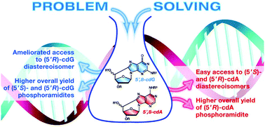 Graphical abstract: A problem solving approach for the diastereoselective synthesis of (5′S)- and (5′R)-5′,8-cyclopurine lesions