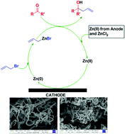 Graphical abstract: Recyclable electrochemical allylation in aqueous ZnCl2medium: synthesis and reactivity of a wire-shaped nano zinc architecture