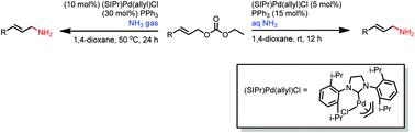 Graphical abstract: Palladium-catalyzed amination of allylic carbonates with ammonia: access to primary amines