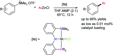 Graphical abstract: Highly efficient pincer nickel catalyzed cross-coupling of aryltrimethylammonium triflates with arylzinc reagents