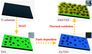 Graphical abstract: Preparation of a ZnO/TiO2 vertical-nanoneedle-on-film heterojunction and its photocatalytic properties