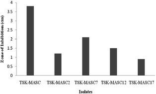 Graphical abstract: Process optimization of cellulase production from alkali-treated coffee pulp and pineapple waste using Acinetobacter sp. TSK-MASC