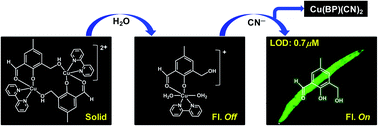 Graphical abstract: A cyanide selective off–on fluorescent chemosensor with in vivo imaging in 100% water: solid probe preferred over in situ generation