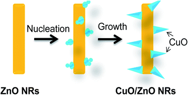 Graphical abstract: Functionalization of ZnO nanorods by CuO nanospikes for gas sensor applications