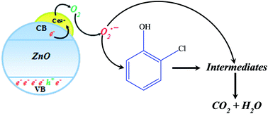 Graphical abstract: Ce3+ impregnated ZnO: a highly efficient photocatalyst for sunlight mediated mineralization