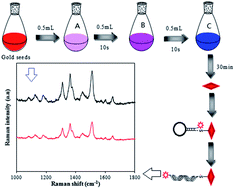 Graphical abstract: A surface-enhanced Raman scattering strategy for detection of peanut allergen Ara h 1 using a bipyramid-shaped gold nanocrystal substrate with an improved synthesis