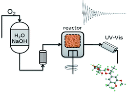 Graphical abstract: Oxygen delignification of conventional and high alkali cooked softwood Kraft pulps, and study of the residual lignin structure