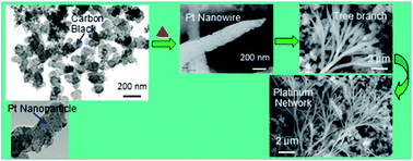 Graphical abstract: A platinum nanowire network as a highly efficient current collector for intermediate temperature solid oxide fuel cells