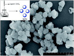 Graphical abstract: A single-step emulsion approach to prepare fluorescent nanoscale coordination polymers for bioimaging