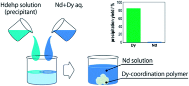 Graphical abstract: Environmentally friendly separation of dysprosium and neodymium by fractional precipitation of coordination polymers