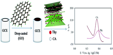 Graphical abstract: Determination of trace amounts of thymol and caffeic acid in real samples using a graphene oxide nanosheet modified electrode: application of experimental design in voltammetric studies