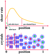 Graphical abstract: Unusual hierarchical distribution of β-crystals and improved mechanical properties of injection-molded bars of isotactic polypropylene