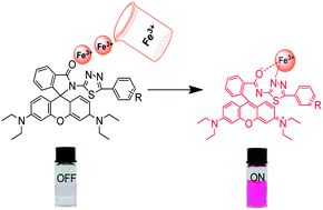 Graphical abstract: Three selective and sensitive “off–on” probes based on rhodamine for Fe3+ imaging in living cells