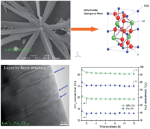 Graphical abstract: Flower-like perovskite LaCr0.9Ni0.1O3−δ–NiO nanostructures: a new candidate for CO2 reforming of methane