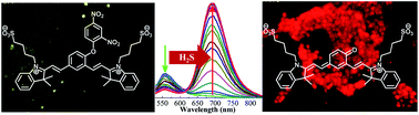 Graphical abstract: A probe for ratiometric near-infrared fluorescence and colorimetric hydrogen sulfide detection and imaging in live cells