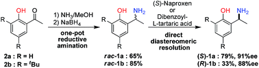 Graphical abstract: Direct enantioseparation of 1-(2-hydroxyphenyl) ethylamines via diastereomeric salt formation: chiral recognition mechanism based on the crystal structure