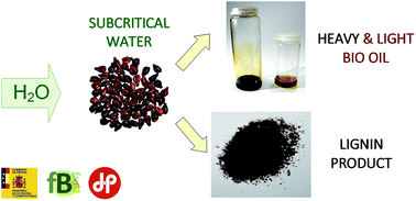 Graphical abstract: Hydrothermal hydrolysis of grape seeds to produce bio-oil