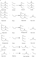 Graphical abstract: A review of multi-phase equilibrium studies on biodiesel production with supercritical methanol