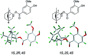 Graphical abstract: The stereochemistry of two monoterpenoid diastereomers from Ferula dissecta