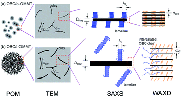 Graphical abstract: Hierarchical structures of olefinic blocky copolymer/montmorillonite nanocomposites with collapsed and intercalated clay layers
