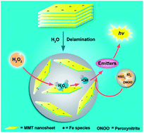 Graphical abstract: Natural montmorillonite nanosheet colloid-catalyzed hydrogen peroxide ultra-weak chemiluminescence