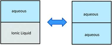 Graphical abstract: Experimental connections between aqueous–aqueous and aqueous–ionic liquid biphasic systems