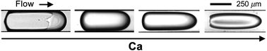 Graphical abstract: Formation and dynamics of partially wetting droplets in square microchannels