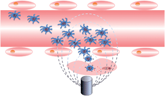 Graphical abstract: Magnetic and pH sensitive drug delivery system through NCA chemistry for tumor targeting