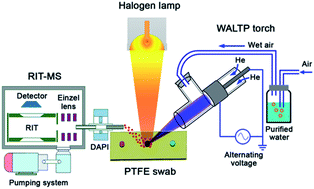 Graphical abstract: Water-assisted low temperature plasma ionization source for sensitive detection of explosives