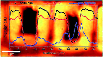 Graphical abstract: Improvement of wood material properties via in situ polymerization of styrene into tosylated cell walls