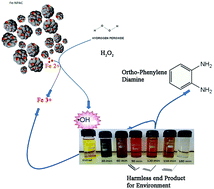 Graphical abstract: Controlled synthesis and characterization of electron rich iron(iii) oxide doped nanoporous activated carbon for the catalytic oxidation of aqueous ortho phenylene diamine