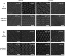 Graphical abstract: Formation of Si nanorods and hollow nano-structures using high precision plasma-treated nanosphere lithography