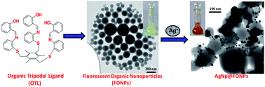 Graphical abstract: Organic–inorganic nanohybrids and their applications in silver extraction, chromogenic Cu2+ detection in biological systems, and hemolytic assay