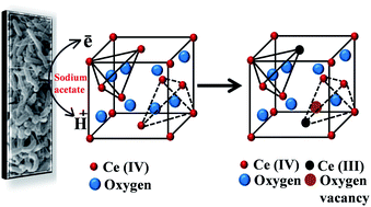 Graphical abstract: Band gap engineering of CeO2 nanostructure using an electrochemically active biofilm for visible light applications