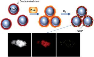 Graphical abstract: Magnetically Recoverable Catalysts Based on Polyphenylenepyridyl Dendrons and Dendrimers