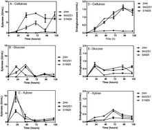 Graphical abstract: Enzymes for second generation ethanol: exploring new strategies for the use of xylose