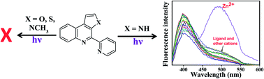 Graphical abstract: Selective Zn2+ sensing using a modified bipyridine complex