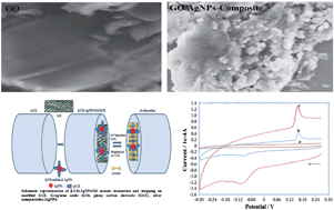 Graphical abstract: Green synthesis of a silver nanoparticle–graphene oxide composite and its application for As(iii) detection