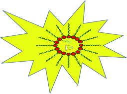 Graphical abstract: Influence of double confinement on photophysics of 7-(diethylamino)coumarin-3-carboxylic acid in water/AOT/isooctane reverse micelles