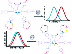 Graphical abstract: Ion responsive near-IR BODIPY dyes: two isomers, two different signals