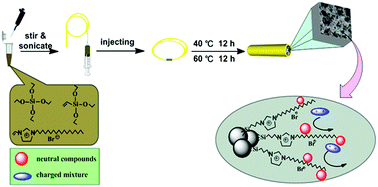 Graphical abstract: A novel C18 reversed phase organic–silica hybrid cationic monolithic capillary column with an ionic liquid as an organic monomer via a “one-pot” approach for capillary electrochromatography